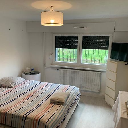 Chambre A Hoenheim A 10 Min De Strasbourg Une Chambre Cosy Dış mekan fotoğraf
